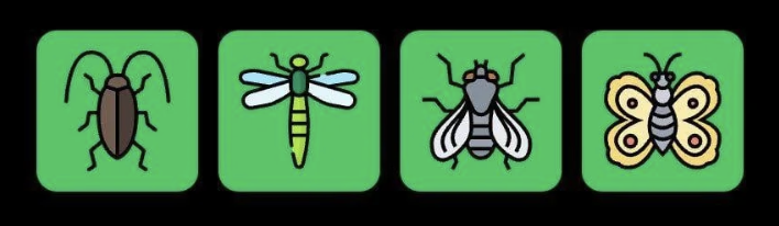 FLIES Daily Combo 29 April 2025